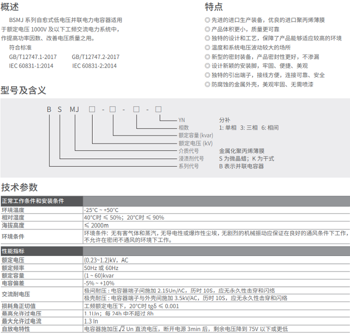 BSMJ0.23-2-1V